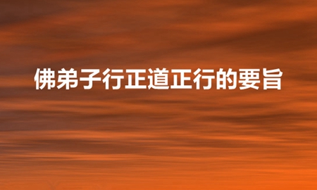 南无羌佛对高僧大德说法：佛弟子行正道正行的要旨