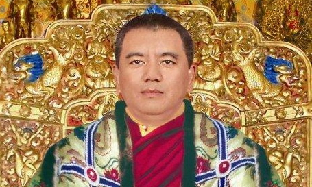 宁玛派佐钦寺总法台佐钦法王简介